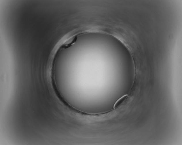 X0000113930007200910021251