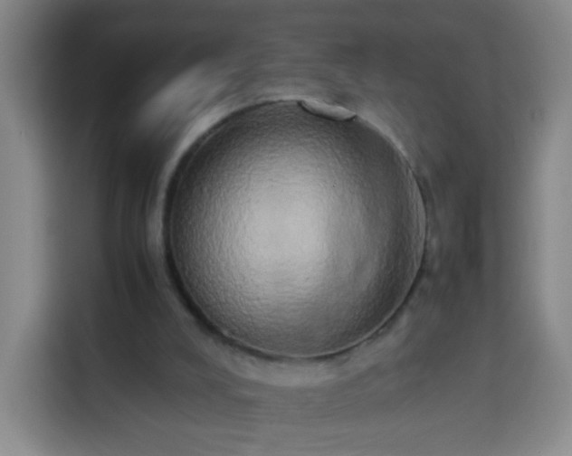 X0000113930008200910021251