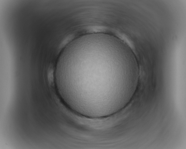 X0000113930010200910021251