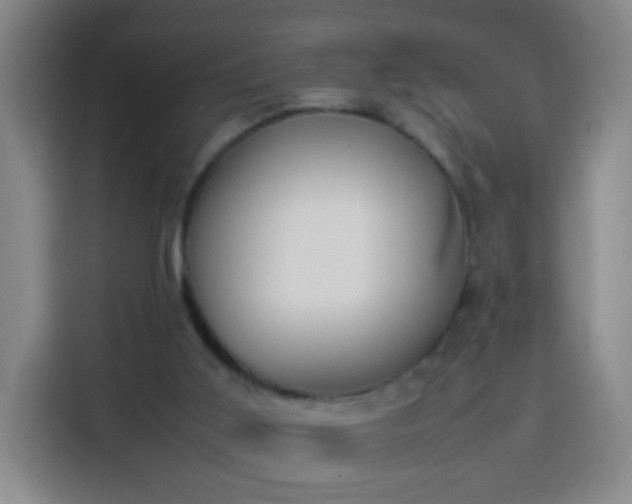 X0000113930011200910021251