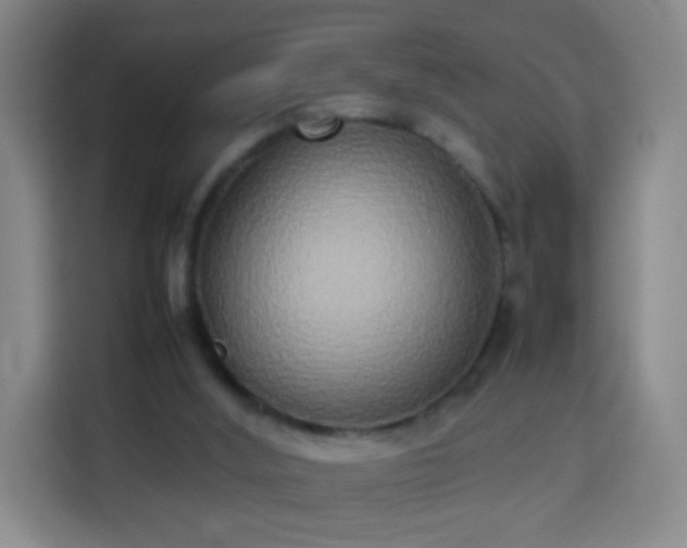 X0000113930012200910021251