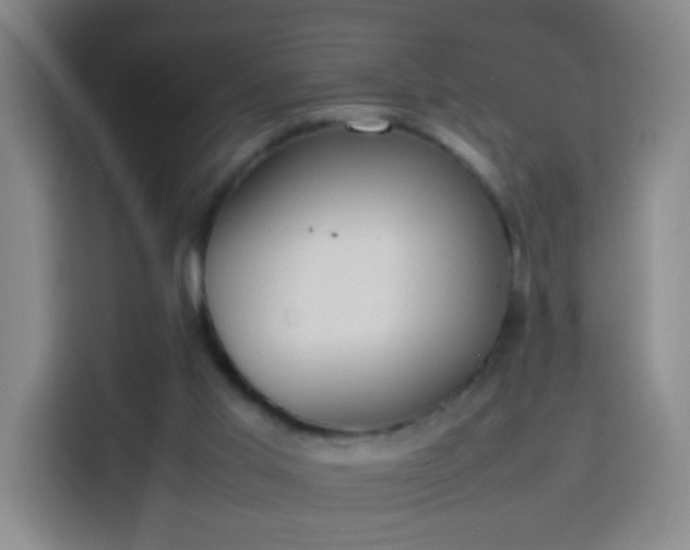 X0000113930013200910021251