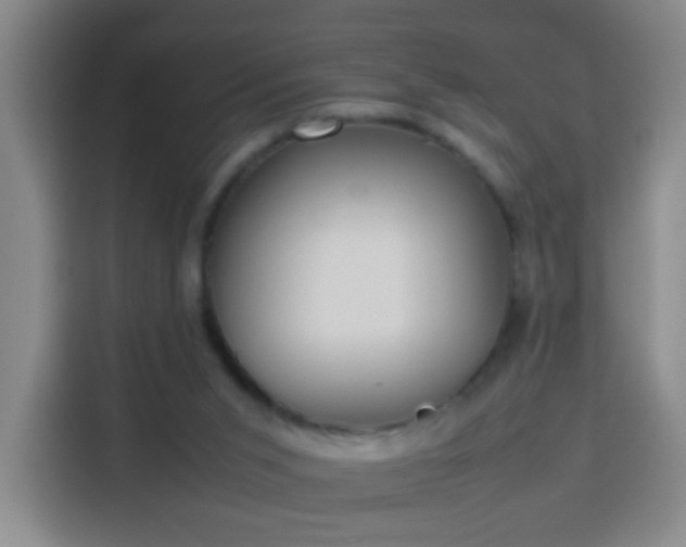 X0000113930015200910021251