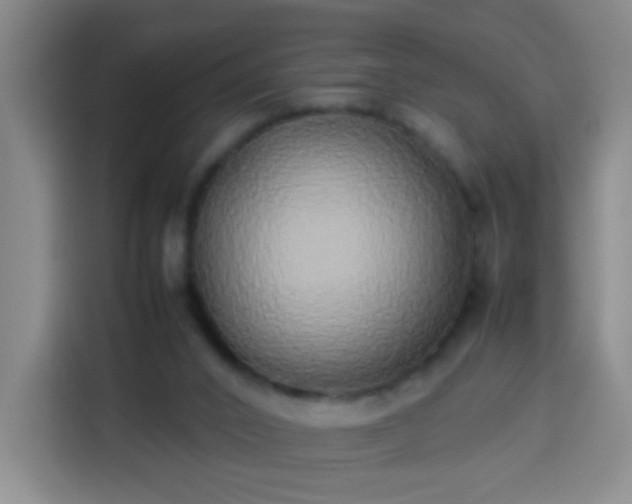 X0000113930016200910021251