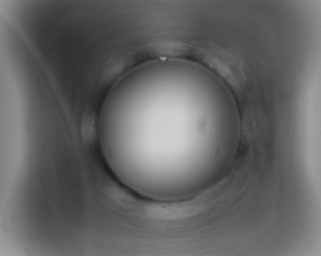 X0000113930017200910021251