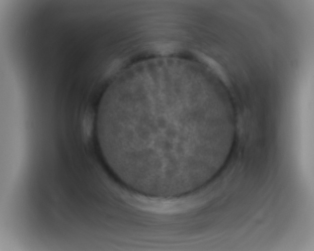 X0000113930018200910021251