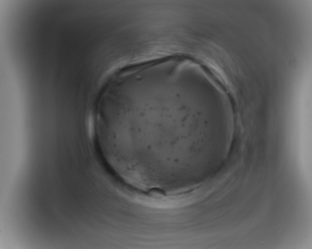 X0000113930019200910021251