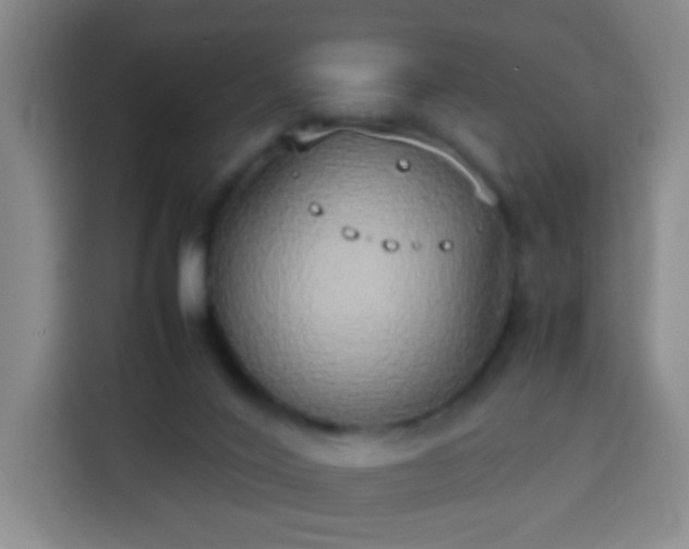 X0000113930020200910021251