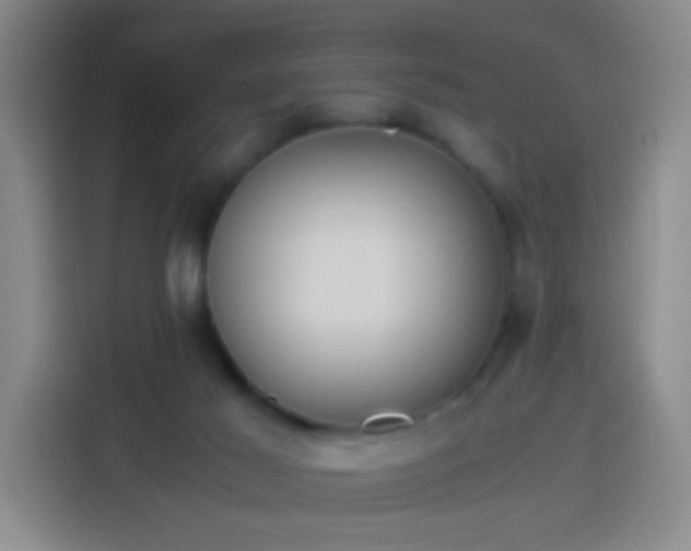 X0000113930021200910021251