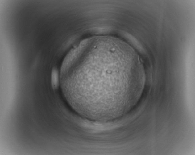 X0000113930022200910021251