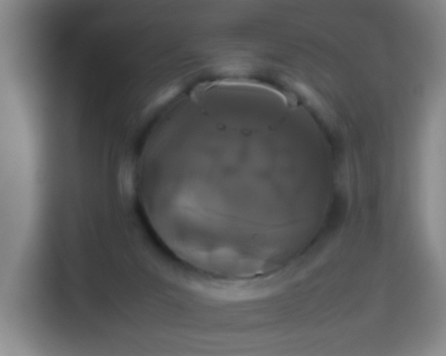 X0000113930023200910021251