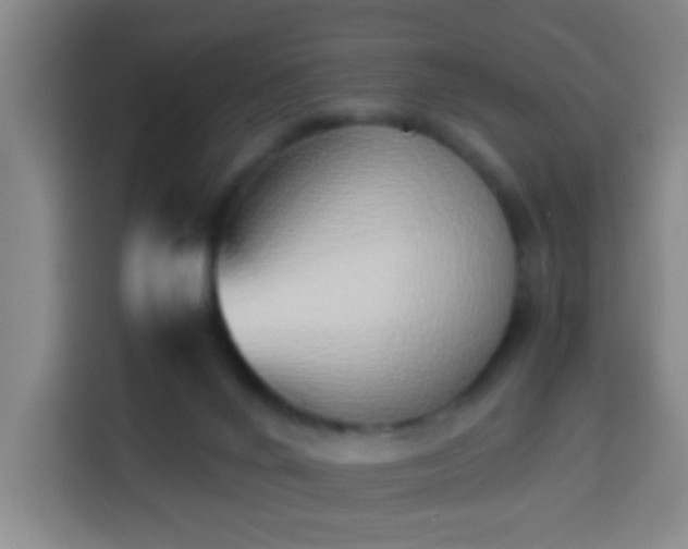 X0000113930024200910021251