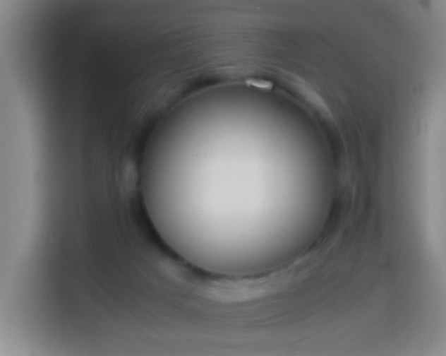 X0000113930025200910021251