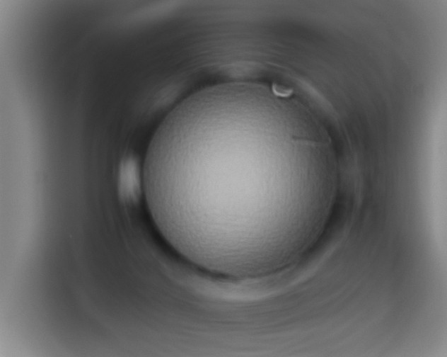 X0000113930028200910021251