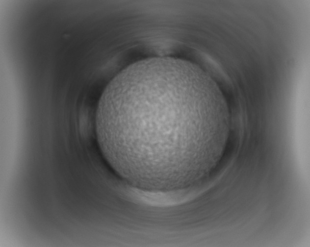 X0000113930030200910021251