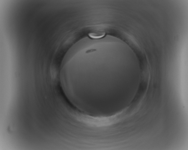 X0000113930031200910021251