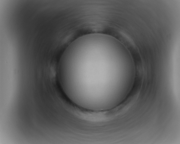 X0000113930032200910021251