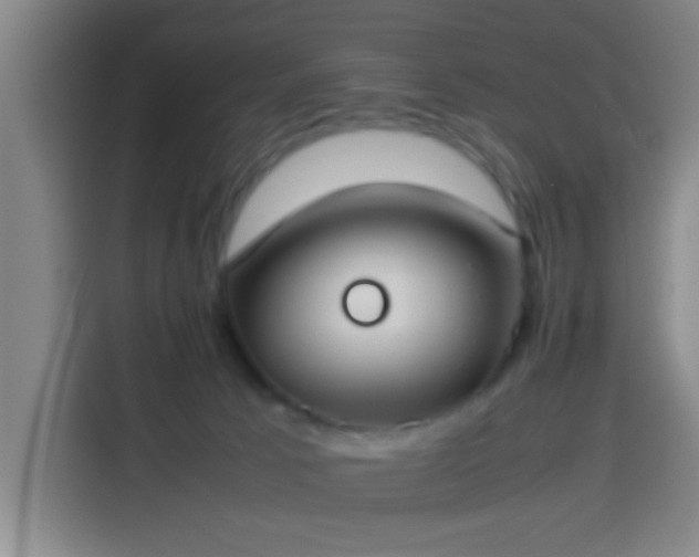 X0000113930033200910021251