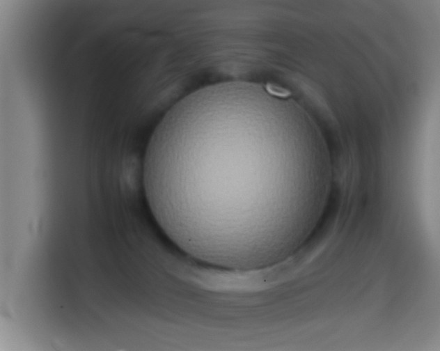 X0000113930036200910021251