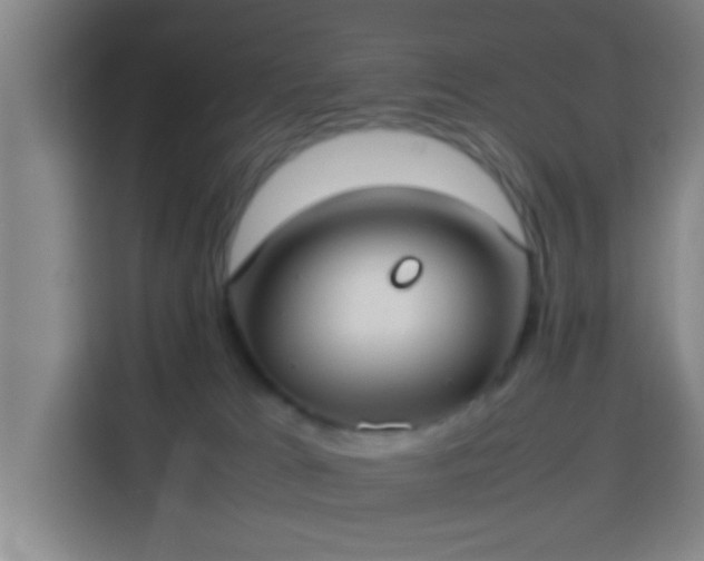 X0000113930037200910021251