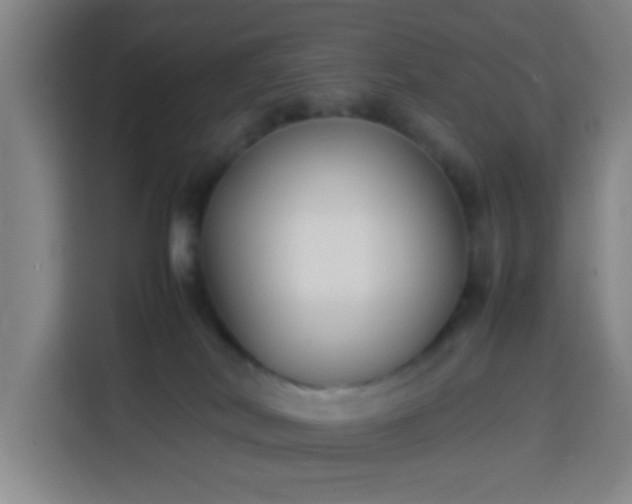 X0000113930038200910021251