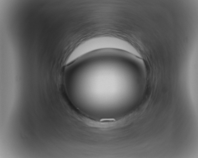 X0000113930039200910021251