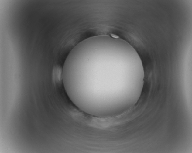 X0000113930041200910021251