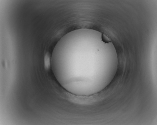 X0000113930042200910021251