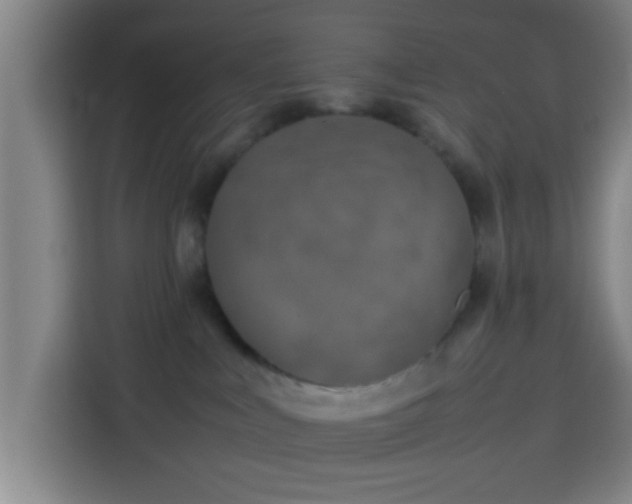 X0000113930043200910021251