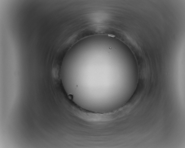 X0000113930044200910021251