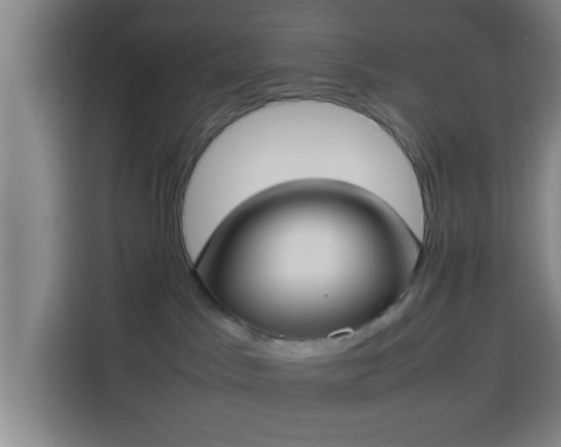 X0000113930045200910021251