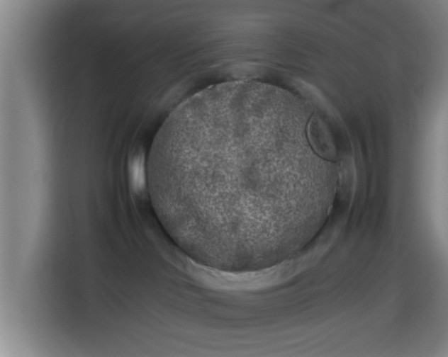 X0000113930046200910021251