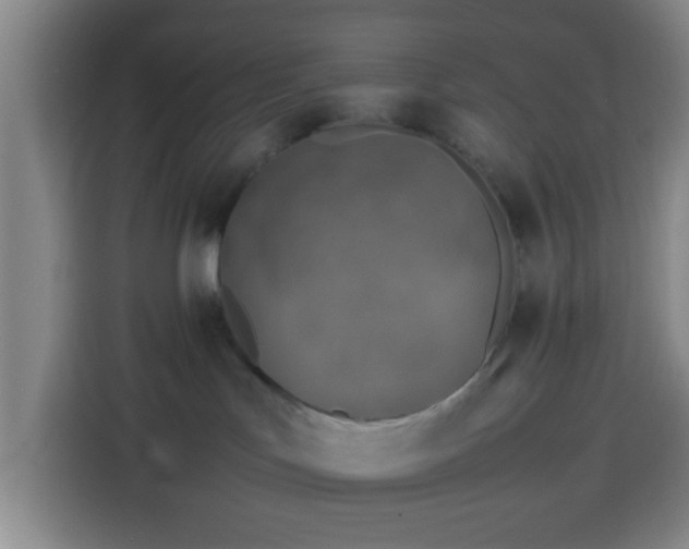 X0000113930047200910021251