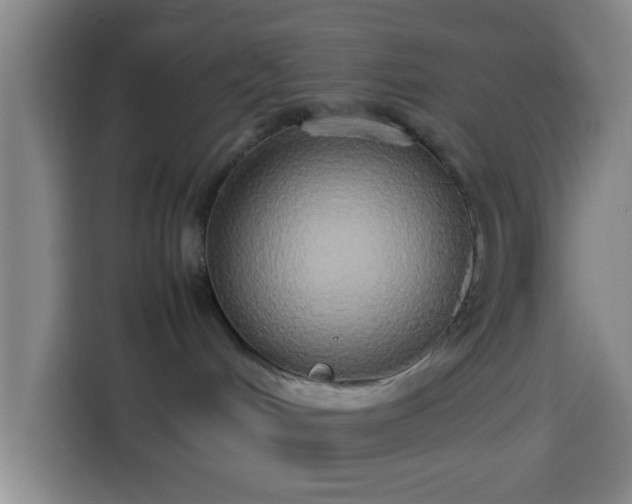 X0000113930048200910021251