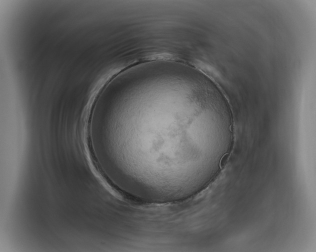 X0000113930049200910021250