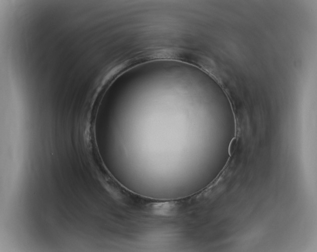 X0000113930050200910021250