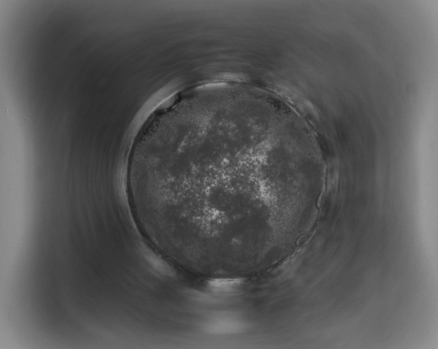 X0000113930051200910021250