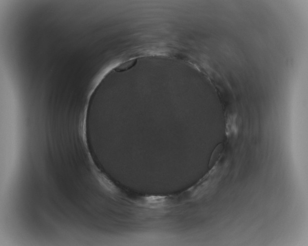 X0000113930052200910021250