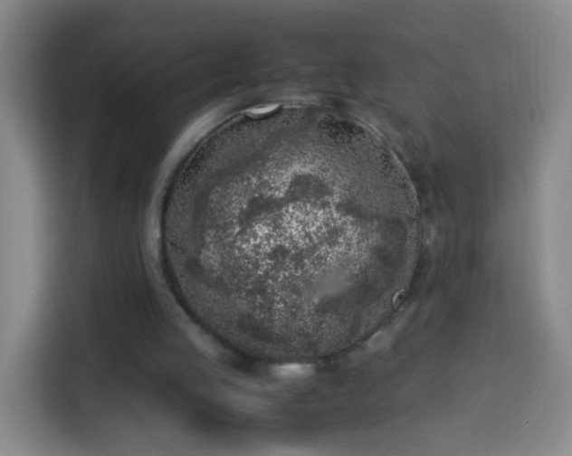 X0000113930053200910021250