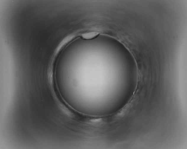 X0000113930054200910021250