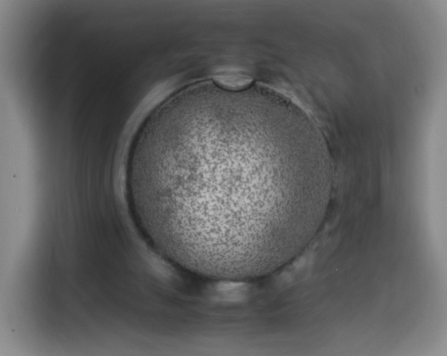 X0000113930055200910021250