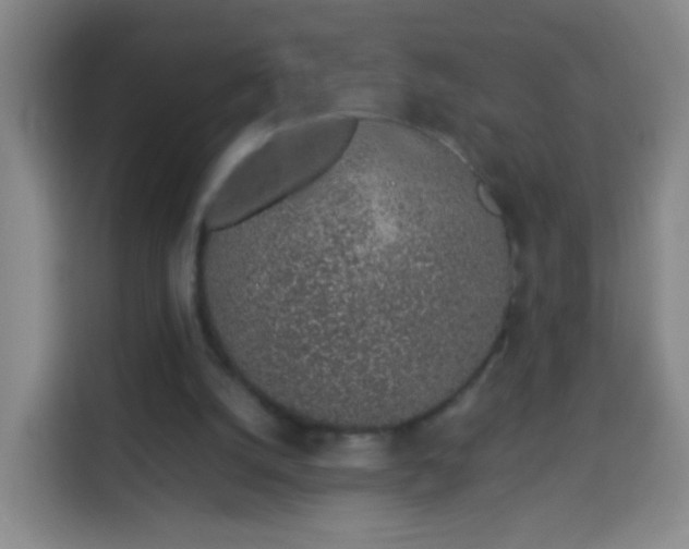 X0000113930056200910021250