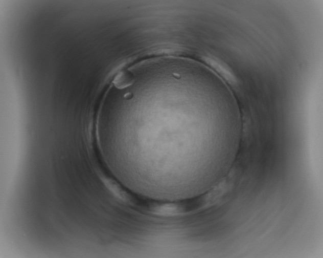 X0000113930058200910021250