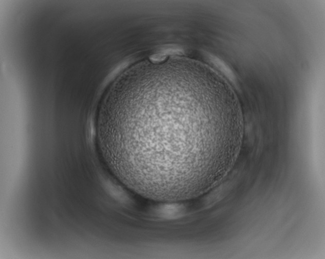 X0000113930059200910021250