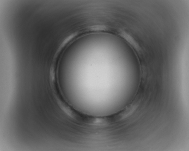 X0000113930060200910021250