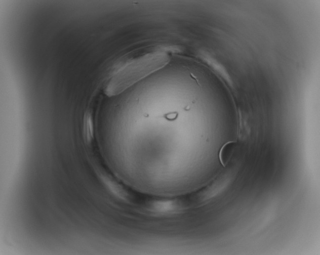 X0000113930061200910021250