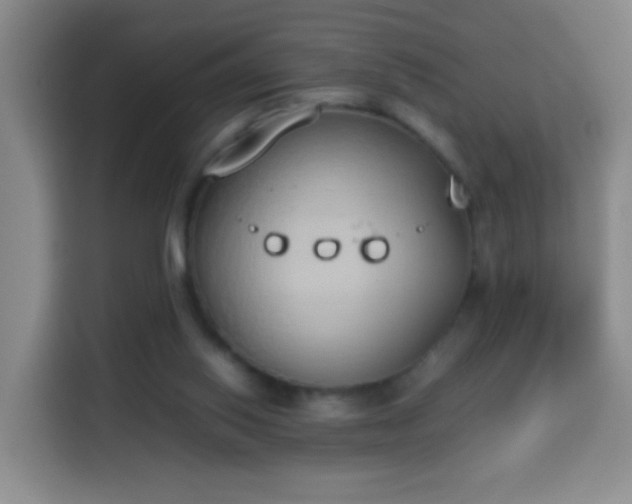 X0000113930062200910021250