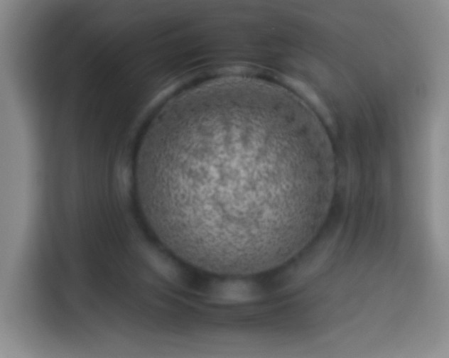 X0000113930063200910021250