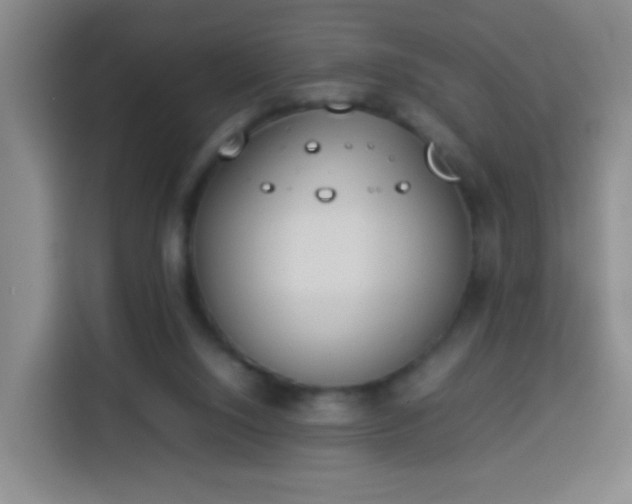 X0000113930064200910021250