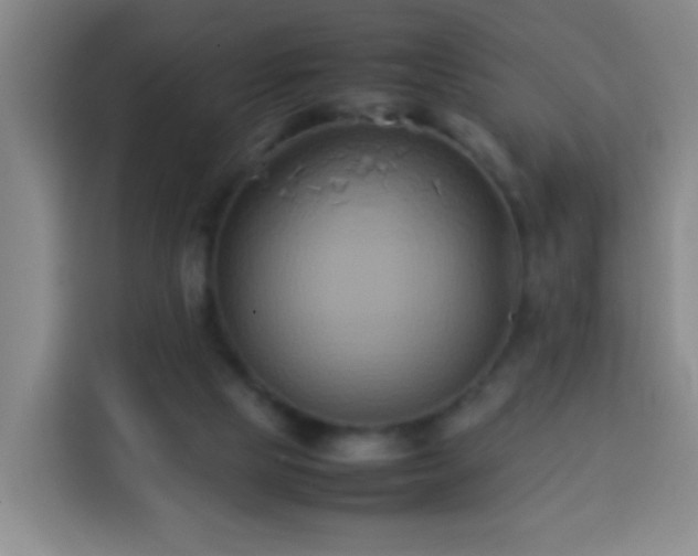 X0000113930065200910021250